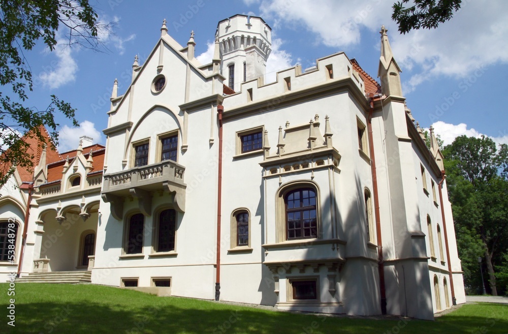 Fototapeta premium lordly palace in Jaslo