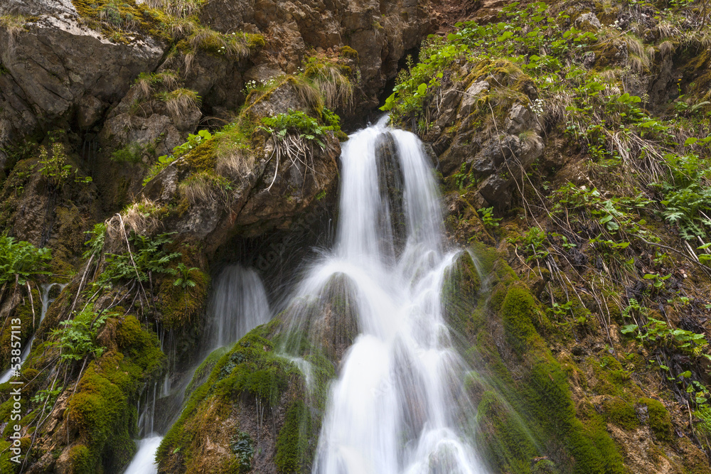 mountain spring mountain spring