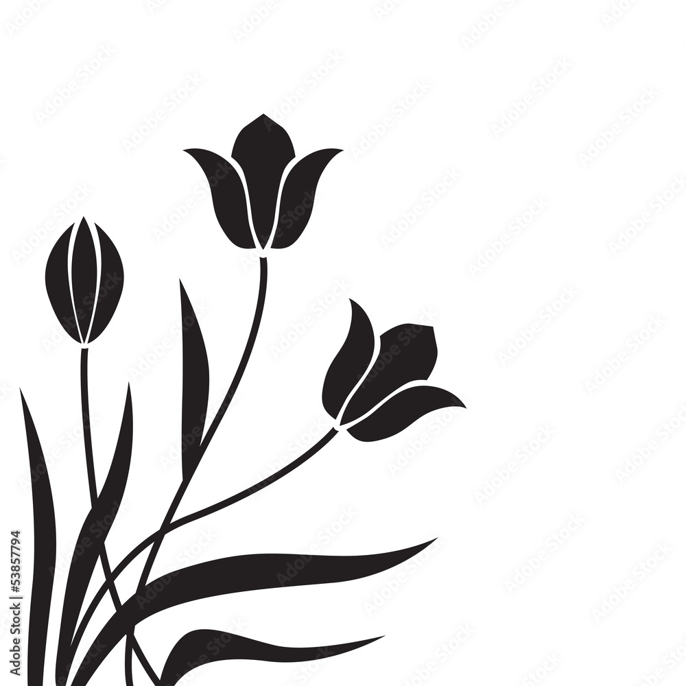 Tulip background Tulip background