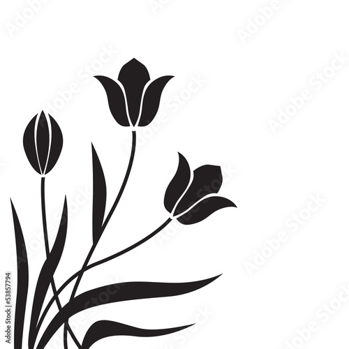 Fototapeta Naklejka Na Ścianę i Meble -  Tulip background