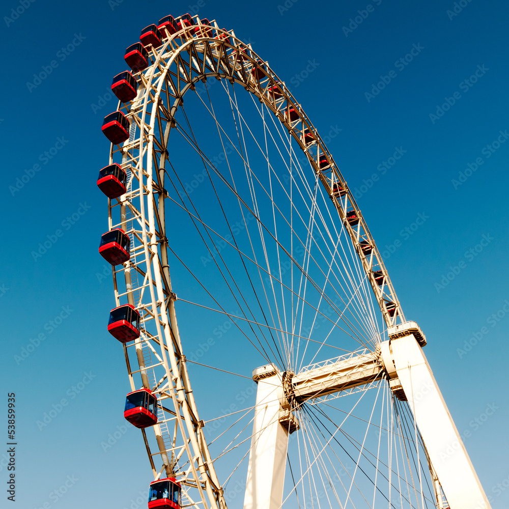 ferris wheel in park ferris wheel in park