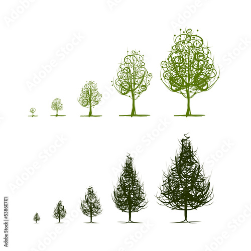 Stages of growing tree for your design