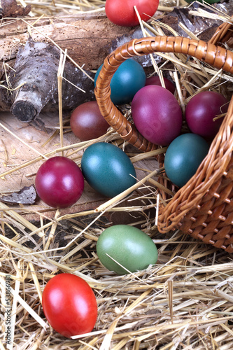 Traditional colored eggs with basket