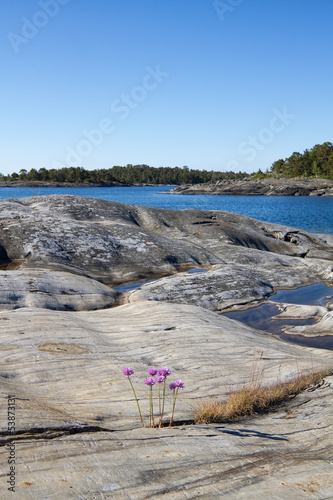 Rocky landscape in Stockhol...