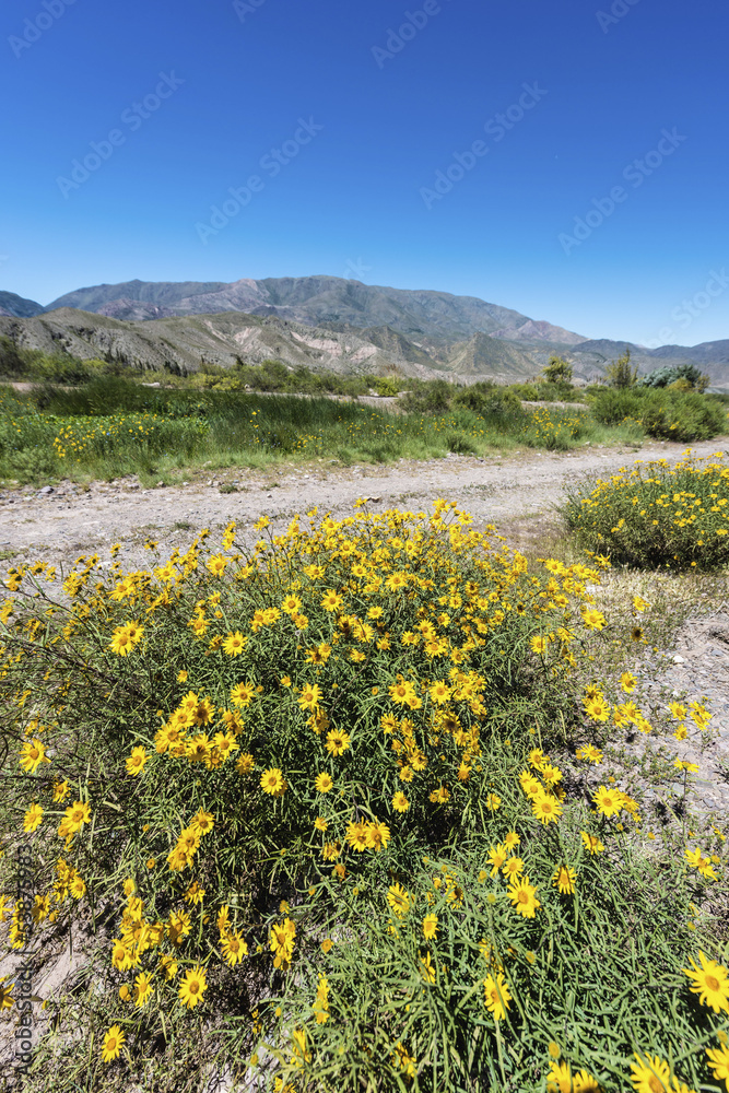 Obraz premium Quebrada de Humahuaca in Jujuy, Argentina.