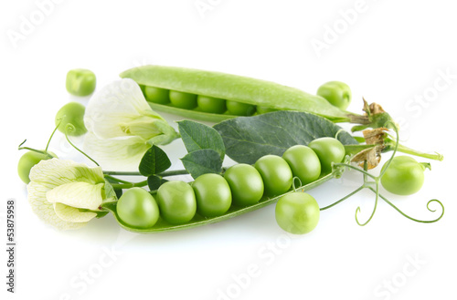 fresh green pea in the pod with leaves and flower