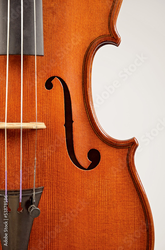 violino strumento musicale photo