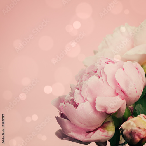 Fototapeta Naklejka Na Ścianę i Meble -  Pink peonies on pastel background