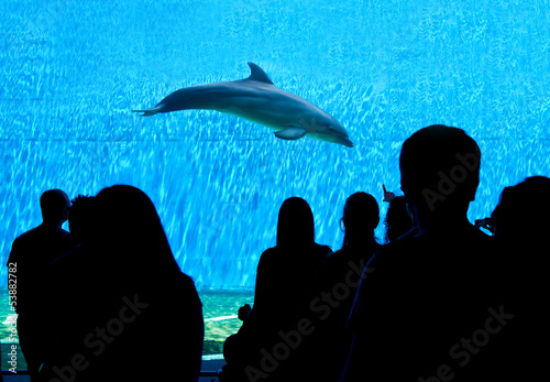 People looking big acquarium photo