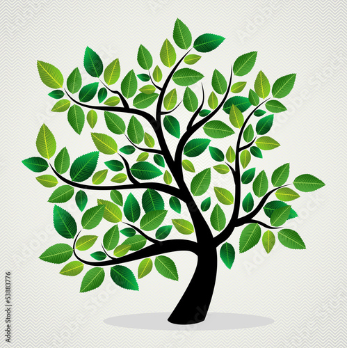 Concept leaves tree