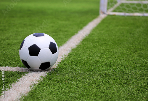 Soccer football in Goal net with green grass field © kamonrat