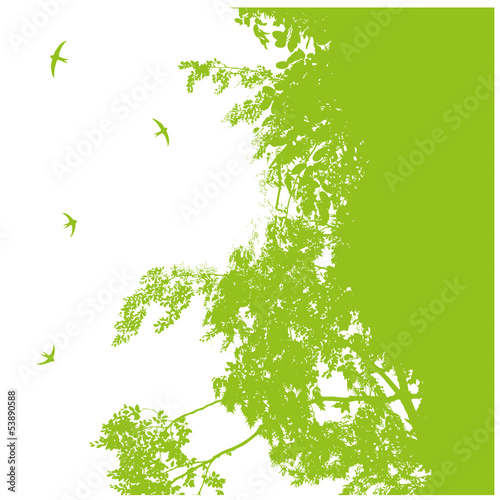 Silhouette, Frühling, Schwalben, Hintergrund