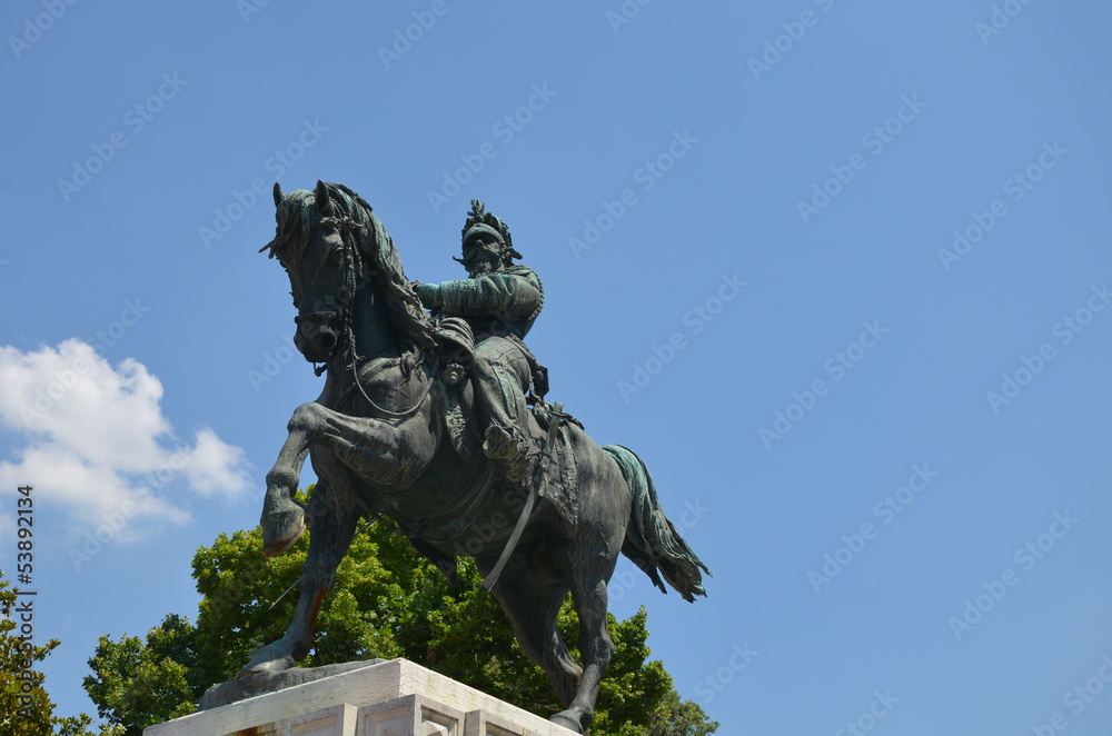 Fototapeta premium Reiterstatue