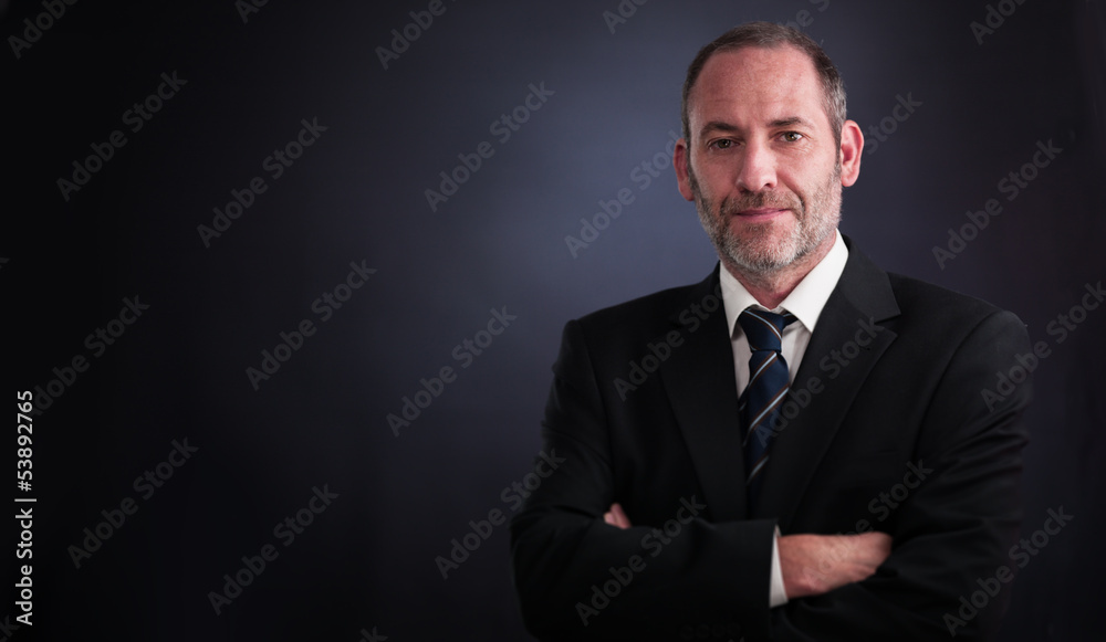 Senior executive businessman Senior executive businessman