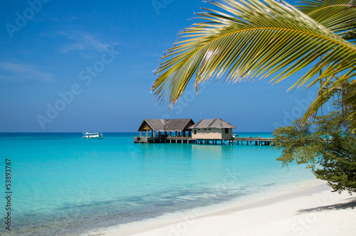 Palm tree over the beach overlooking tropical lagoon © absattar