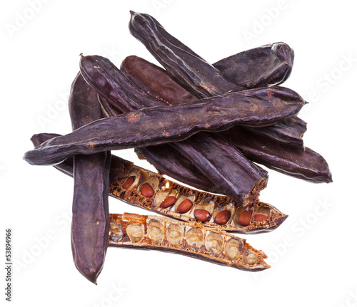 Fotografía dried carob pods