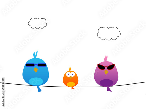 Bird family with sunglasses