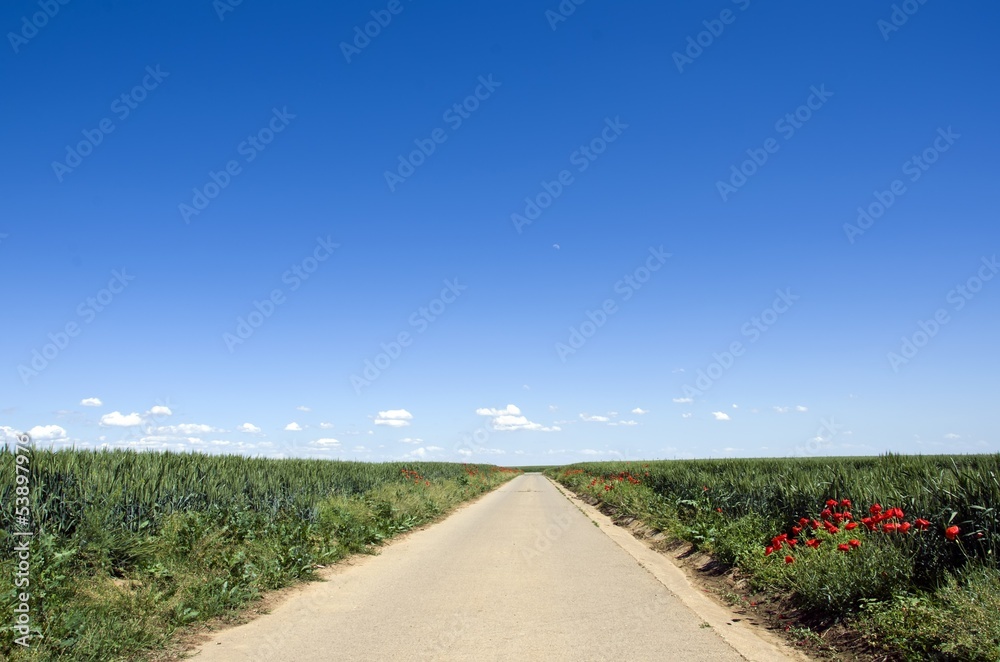 Fototapeta premium Road