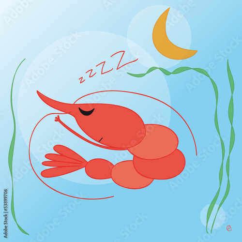 crevette cerise et lune