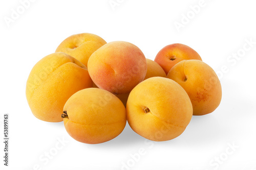 apricots fruit
