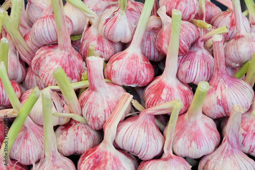 Background of fresh vegetables