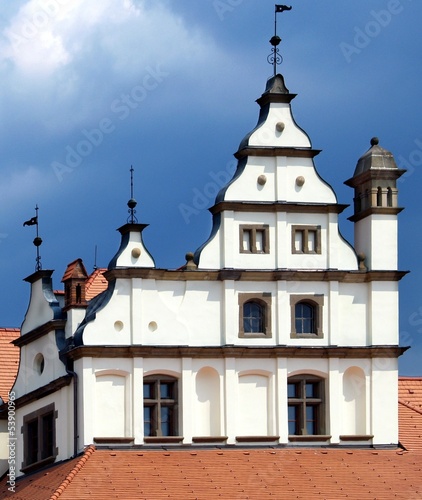 Decorative medieval rooftop