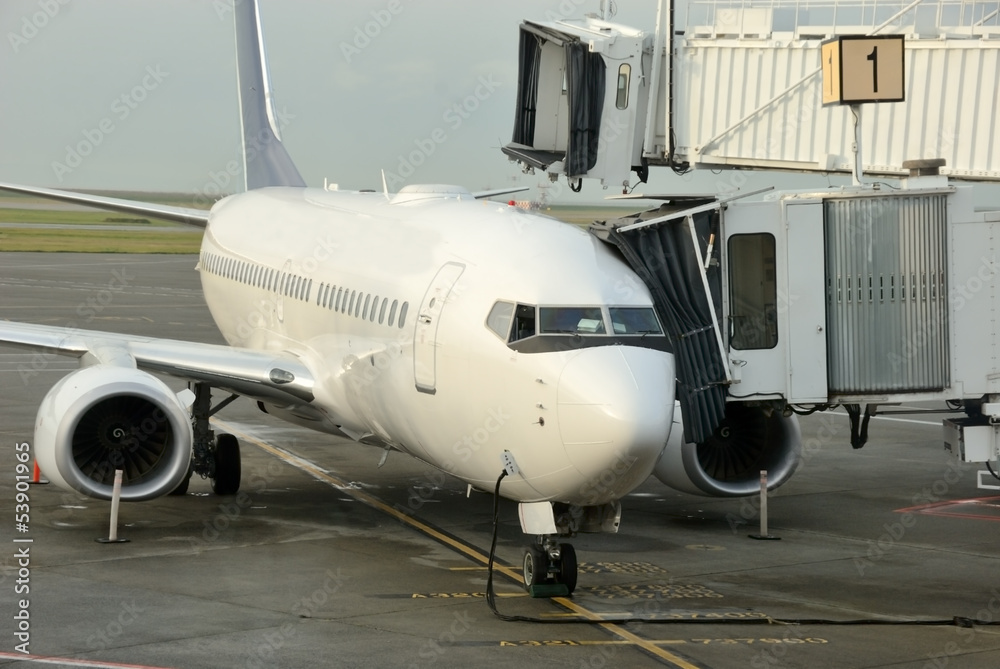 Passenger Jet Passenger Jet