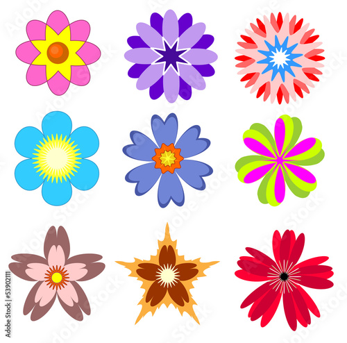 Flowers set
