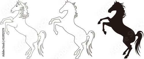 馬　竿立ち　モノクロ