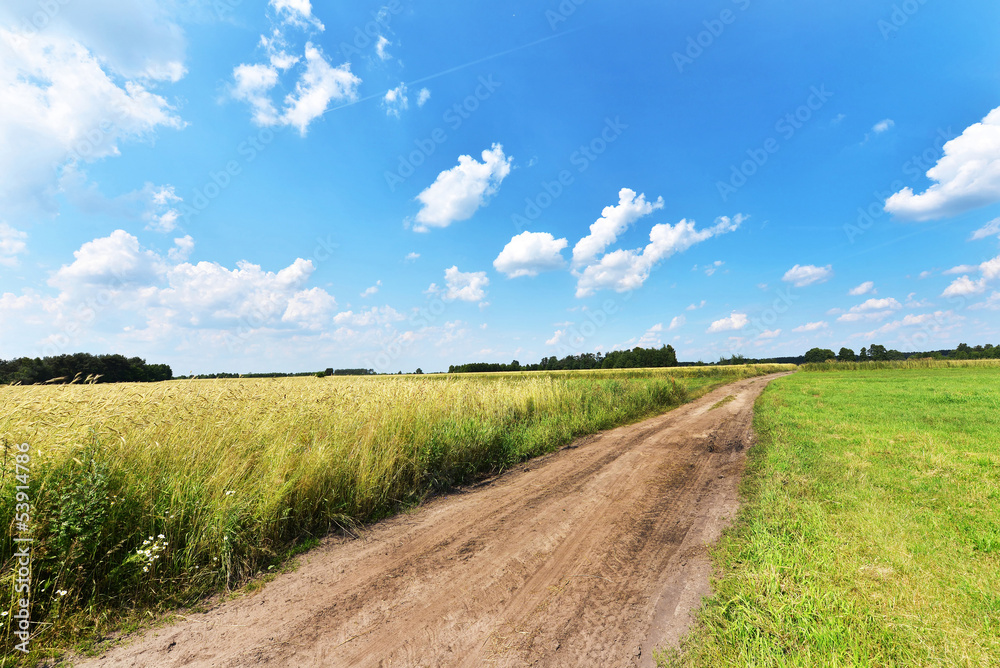 Obraz premium Summer landscape