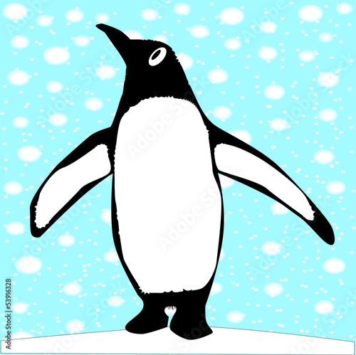 Looking Penguin