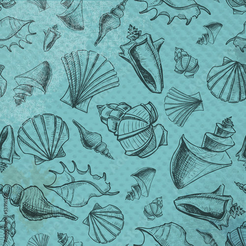 Sea shells sketch pattern on paper background