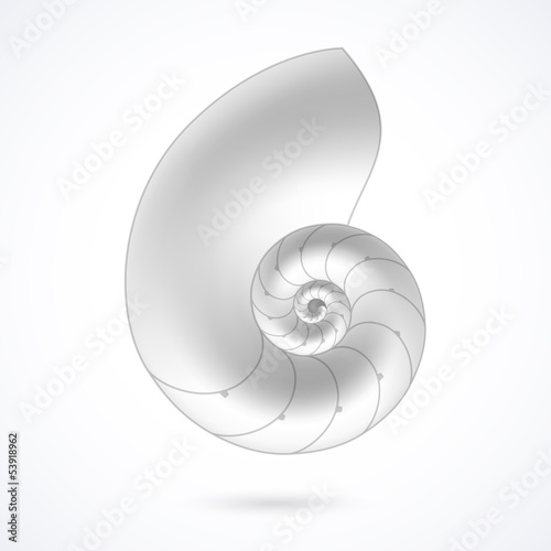 Nautilus shell