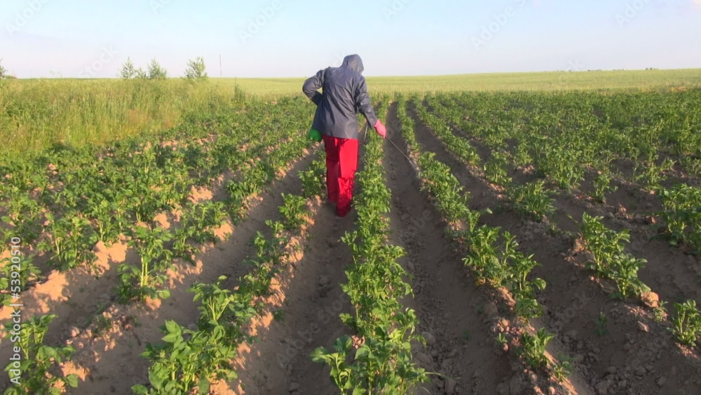 farmer with protective equipment spraying summer potato field