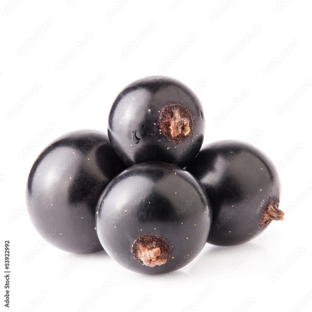 Black currant isolated on white background Black currant isolated on white background