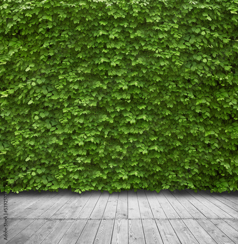 Green leaves wall and wood floor for background © SFIO CRACHO