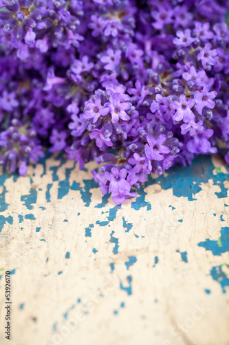 Fototapeta Naklejka Na Ścianę i Meble -  Lavender Flowers