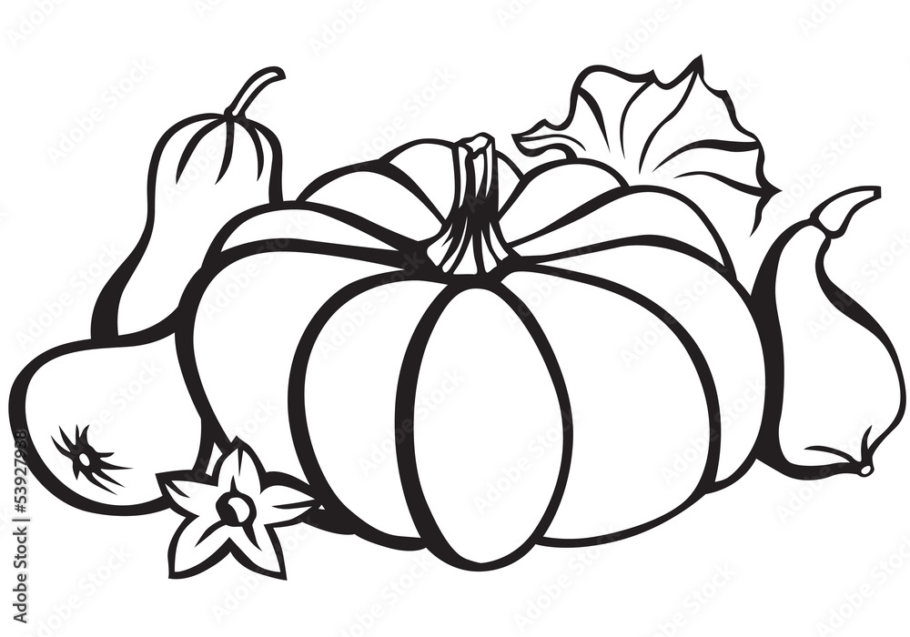 Pumpkins Pumpkins