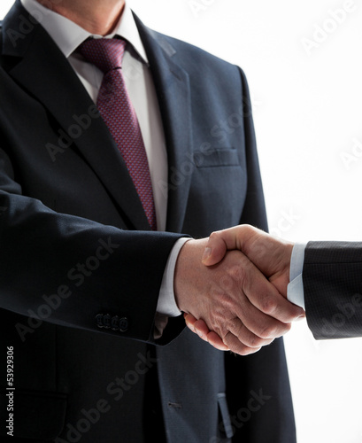 Businessmen shake hands