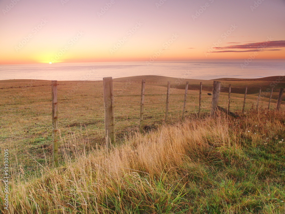 Morning landscape in New Zealand