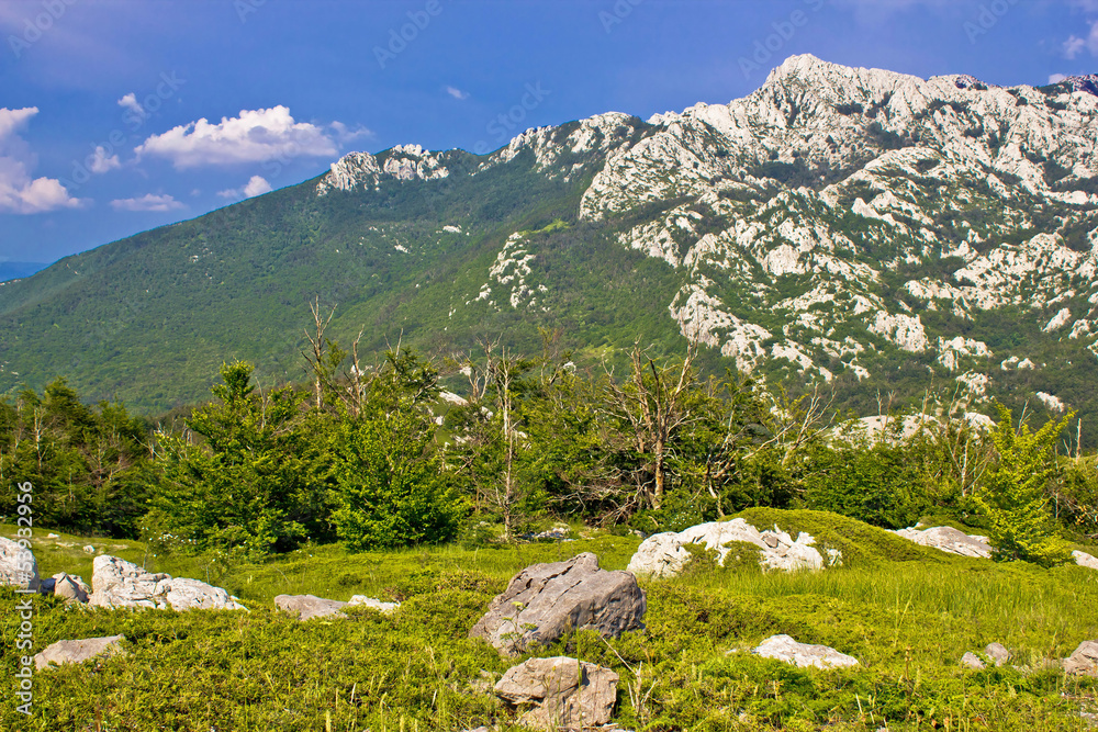 Crnopac peak of Velebit mountain