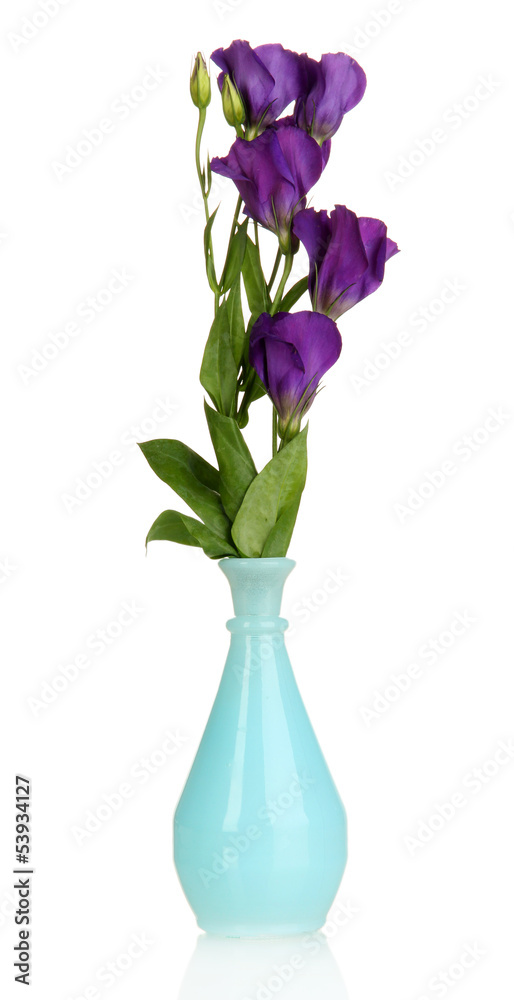 Bouquet of eustoma flowers in vase isolated on white Bouquet of eustoma flowers in vase isolated on white
