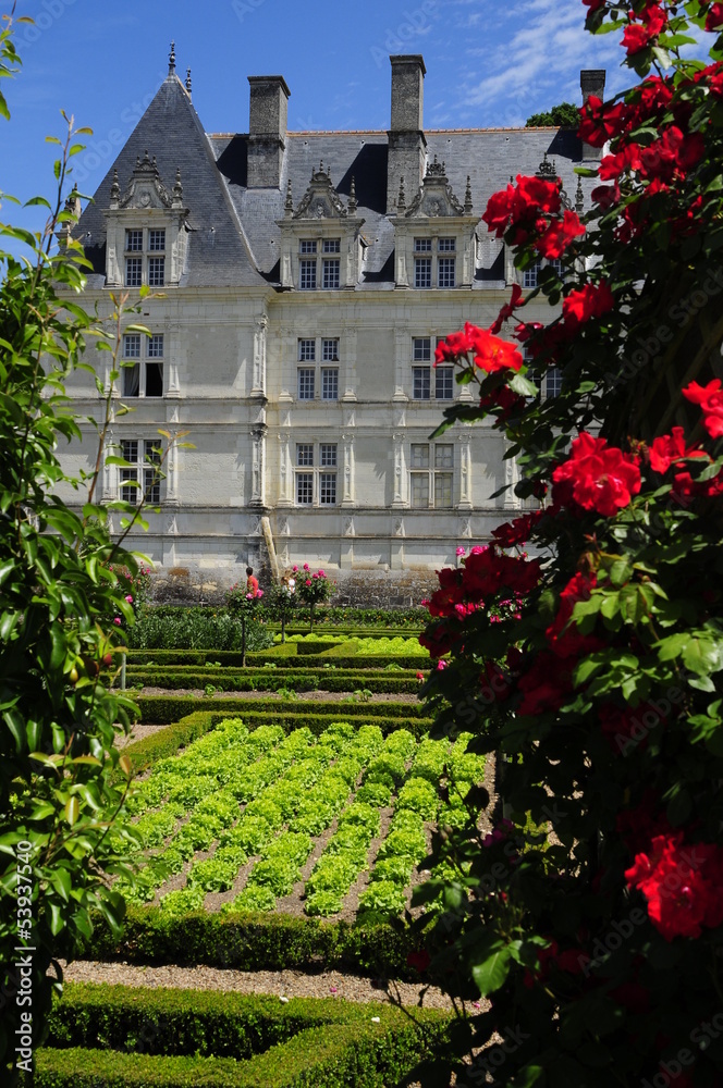 Villandry gardens, Loire valley, France