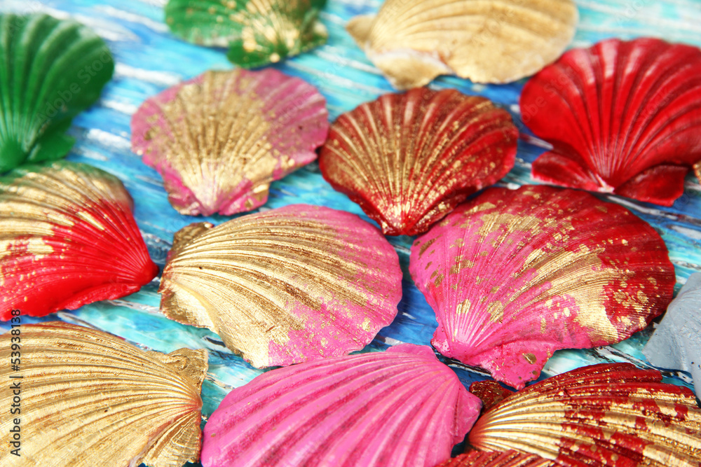 Colorful seashells  background