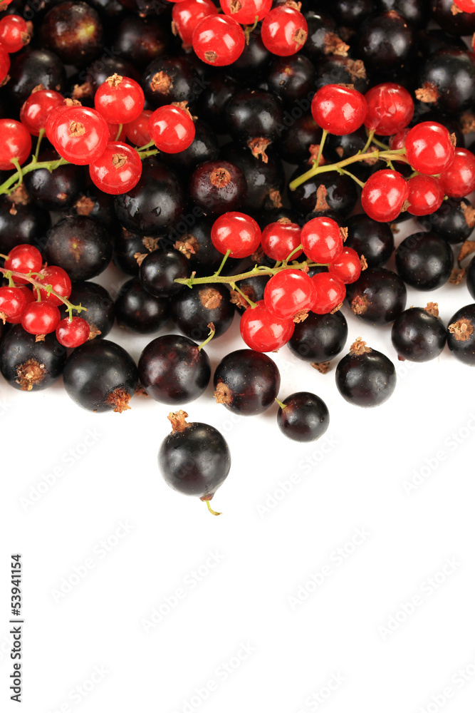 Red and black currant isolated on white Red and black currant isolated on white