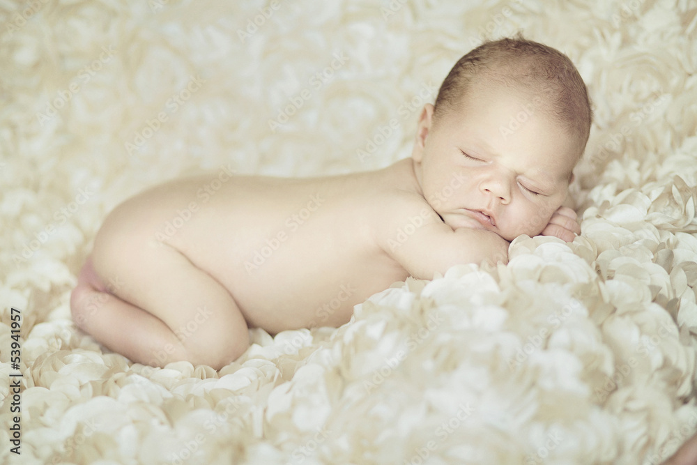 Portrait of newborn baby sleeping on petals Portrait of newborn baby sleeping on petals