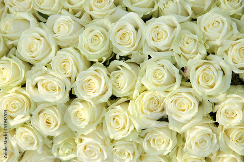 Group of white roses  wedding decorations
