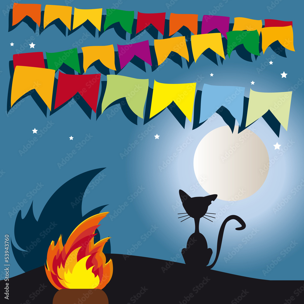 Festa Junina com gato
