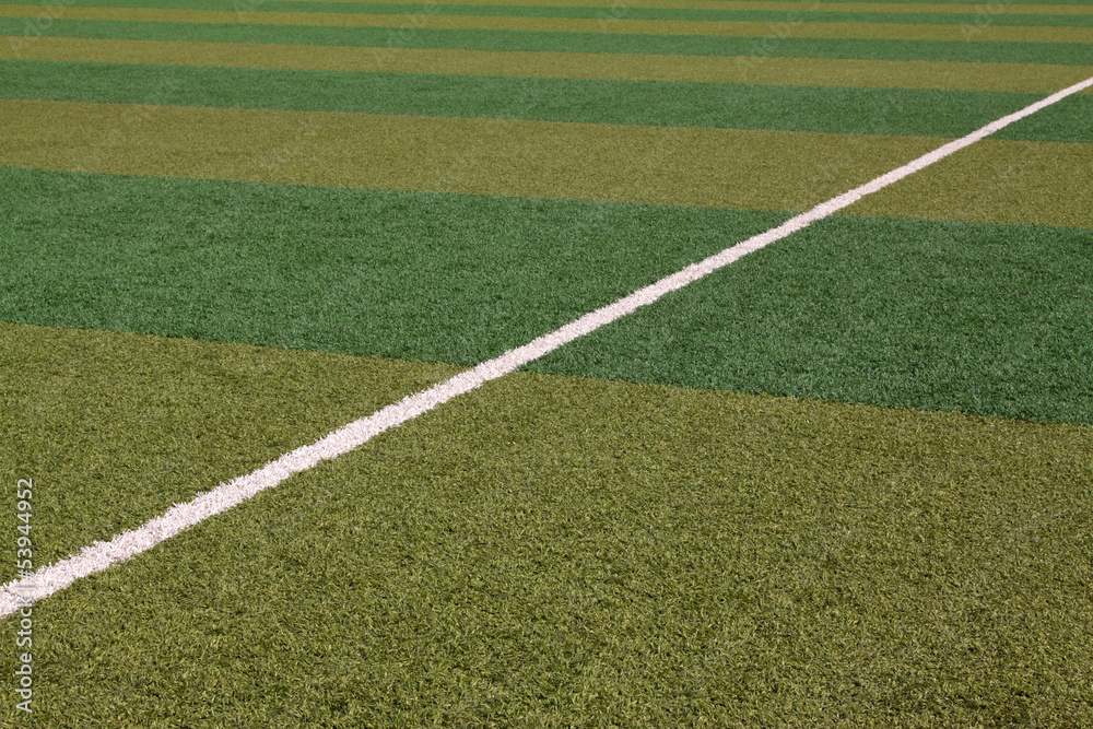 Obraz premium lawn on the playground