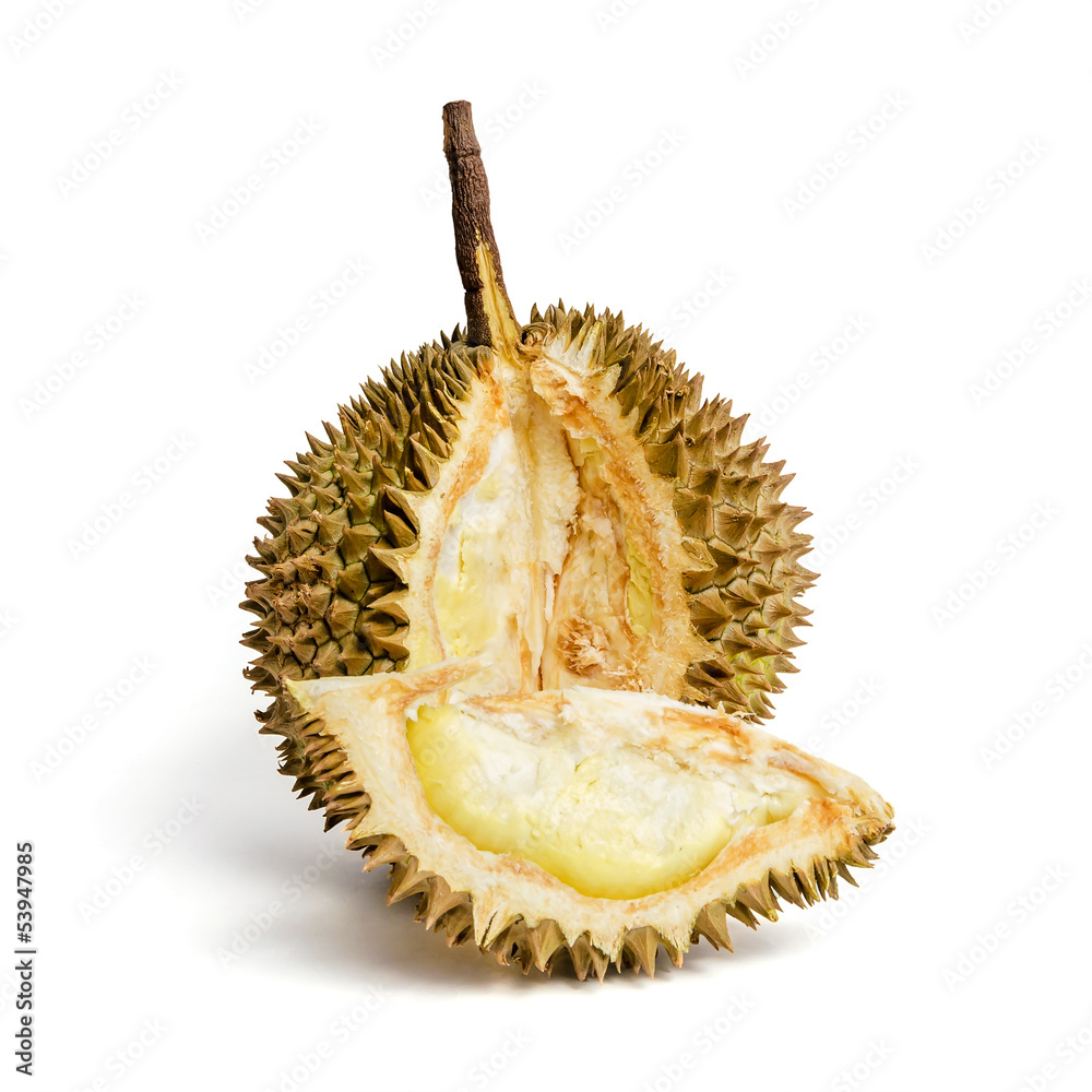 Fototapeta premium Durian. Giant Tropical Fruit.